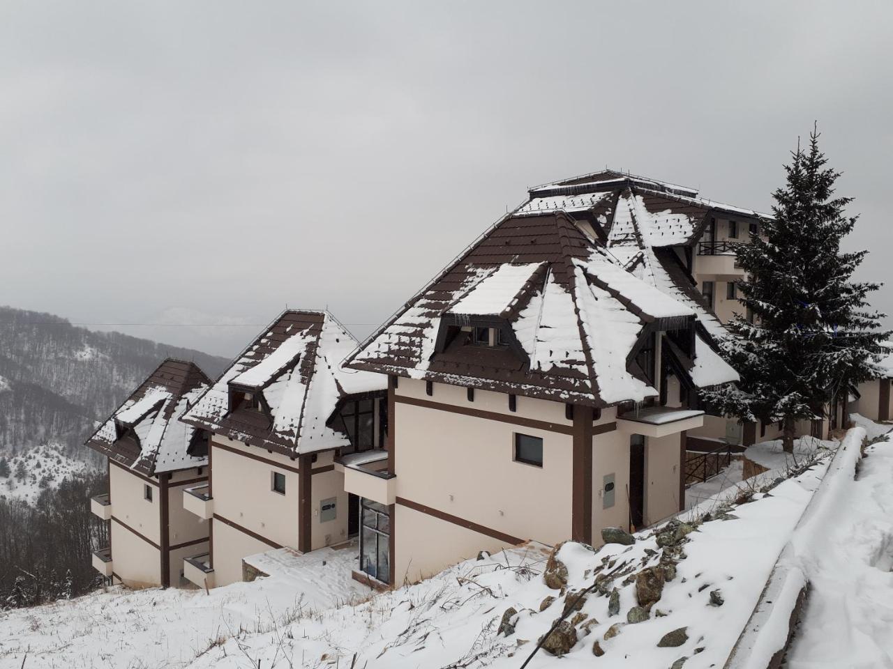 Apartman Andjela Копаоник Экстерьер фото