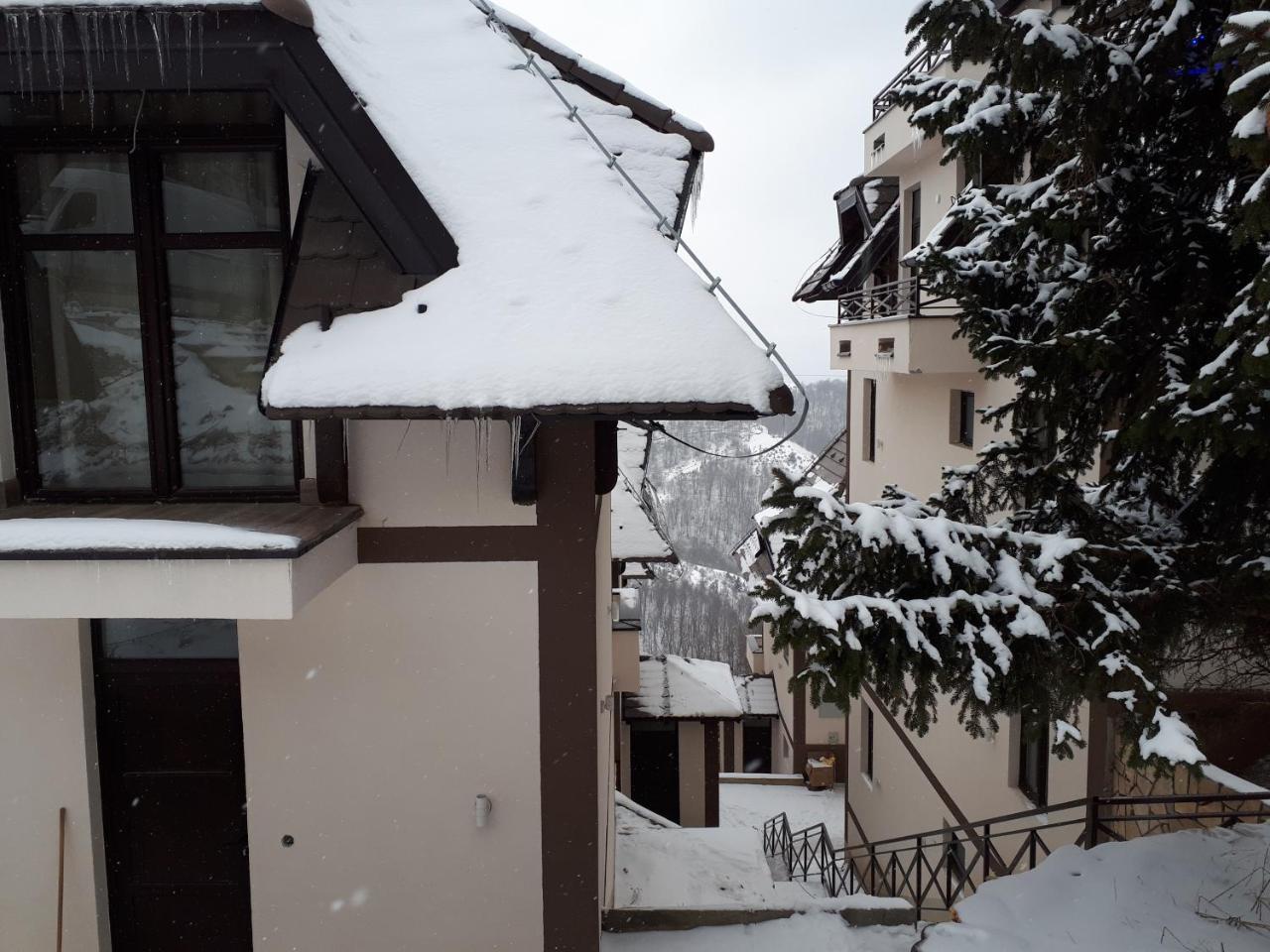 Apartman Andjela Копаоник Экстерьер фото